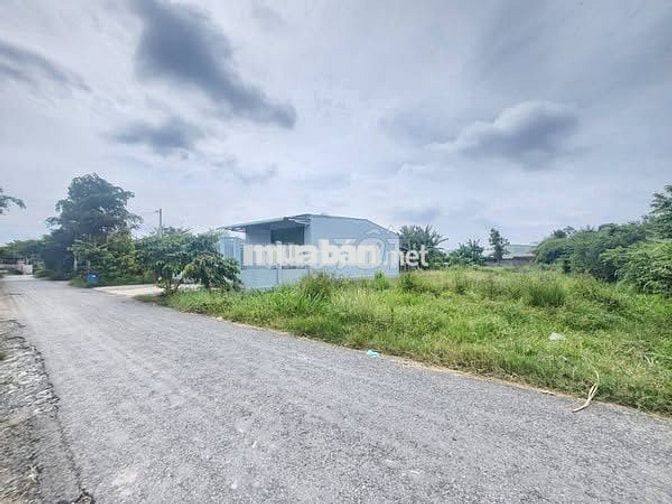 TÔI ĐANG MUỐN BÁN GẤP ĐẤT 527m2 TRUNG LẬP HẠ HỒI VỐN