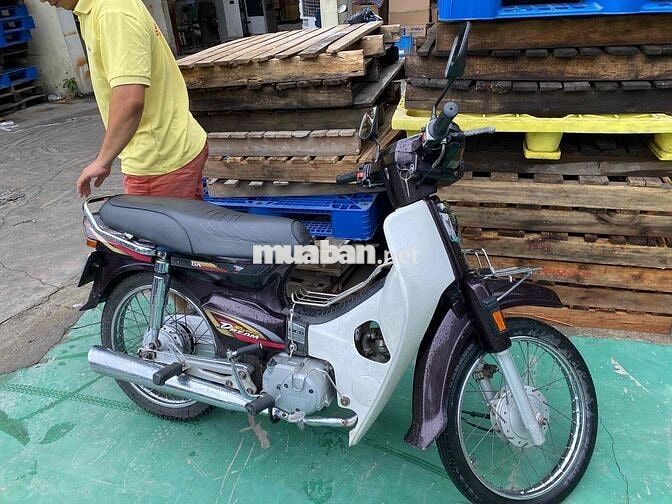 dream việt 2001