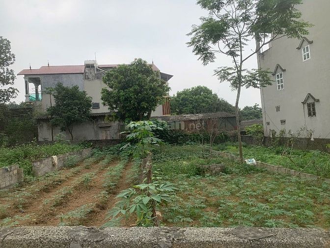 Bán đất Xuân Thuỷ, Thuỷ Xuân Tiên, Chương Mỹ.