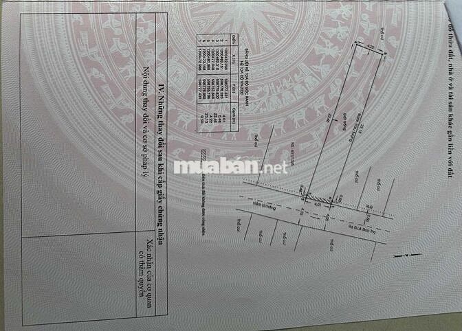2 Lô Đất Liền kề hơn 95m HXH tiện xây CHDV giá chỉ 5,9 tỷ mỗi lô