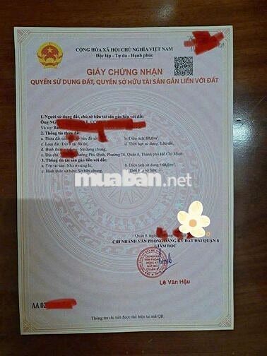 Bán nhà hẻm xe hơi- Phú Định Quân 8 4x15 3 tấm 4 phòng