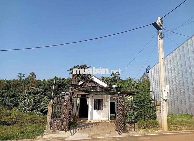 Chuyển công tác cần bán gấp lỗ lại căn nhà 153 m2 tặng vườn tiểu cảnh