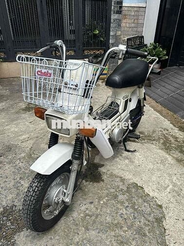 honda chaly 50cc đời 84 nhật