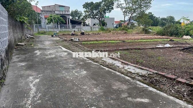 🎉🎉 BÁN ĐẤT ĐÔ THỊ - PHÙ CỪ - HƯNG YÊN - Ô TÔ - SẴN SỔ🎉🎉