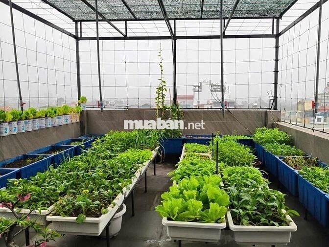 📢📢📢Phố Thạch Bàn 63m2 x 7 Tầng Thang Máy Ô Tô Vào Cửa - Nhỉnh 14 tỷ