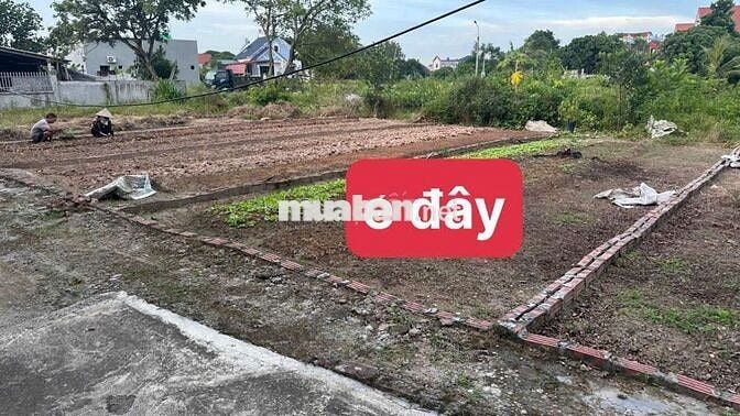 🎉🎉 BÁN ĐẤT ĐÔ THỊ - PHÙ CỪ - HƯNG YÊN - Ô TÔ - SẴN SỔ🎉🎉