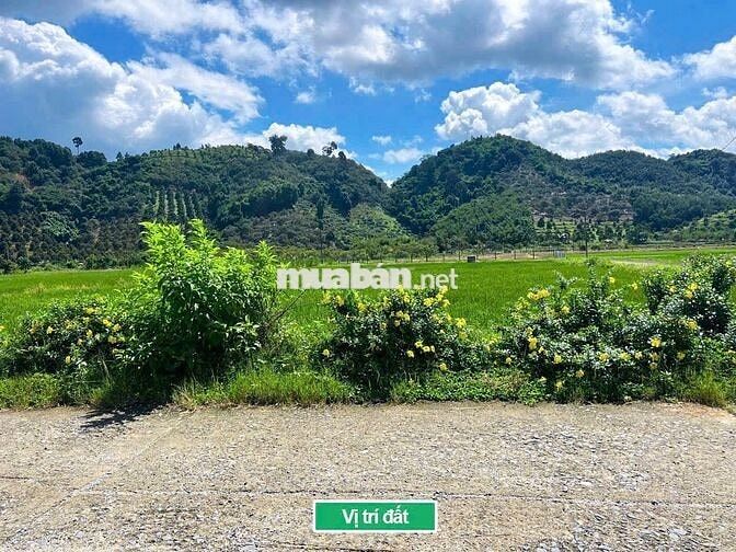 HAI MẶT TIỀN ĐƯỜNG tại ĐẠ HOAI- LÂM ĐỒNG
