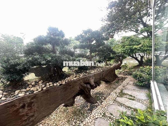 Bán Siêu Biệt Thự Khu Đô Thị Vinhomes riverside