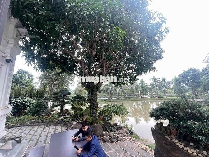 Bán Siêu Biệt Thự Khu Đô Thị Vinhomes riverside