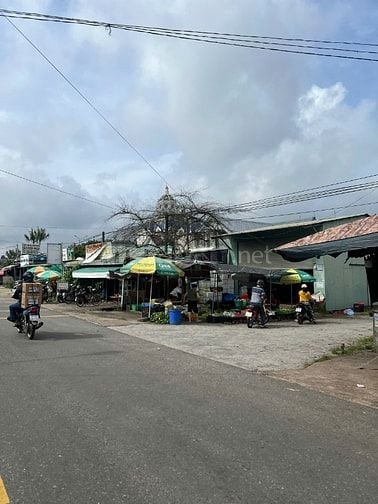 Nhà Vườn Nghỉ Dưỡng rộng 3125m2 thổ cư 200m2, Có Vườn Cây Trái