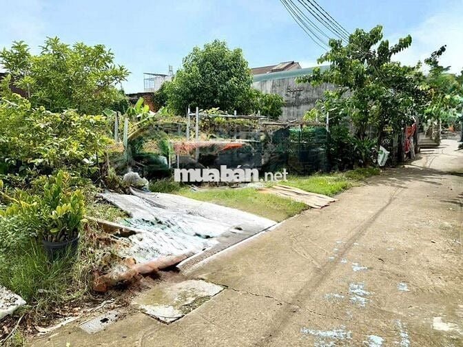 Bán đất sổ hồng riêng thổ cư đường trước nhà 4 m