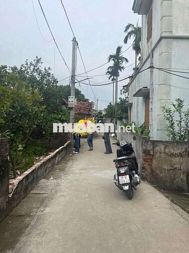 💯💯Siêu Đẹp - Siêu Tiềm Năng 👉đường thông xe 7 chỗ đỗ cửa

🏝️🏝️🏝️