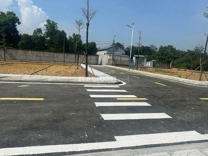 Chính chủ cần bán gấp 100m2, MT 5.5m đất ô tô tránh 2.5 tỷ