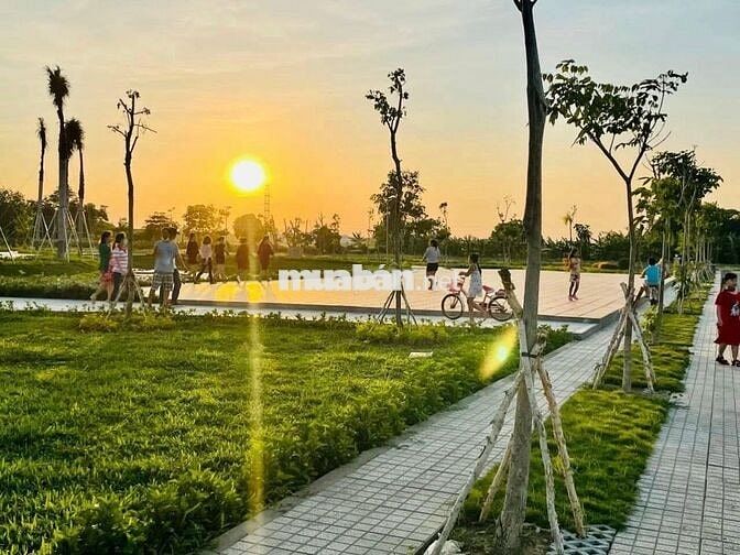 Bán nhà dự án Vạn Phát Velora + 283m2 + 368Tr sở hữu ngay