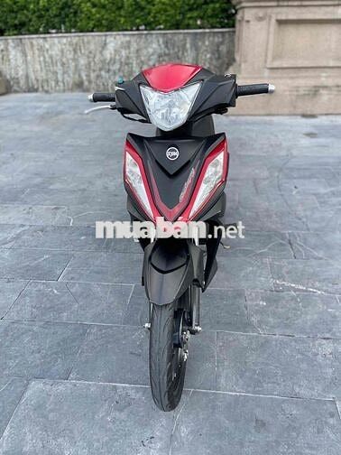 xe chính hãng giá rẻ