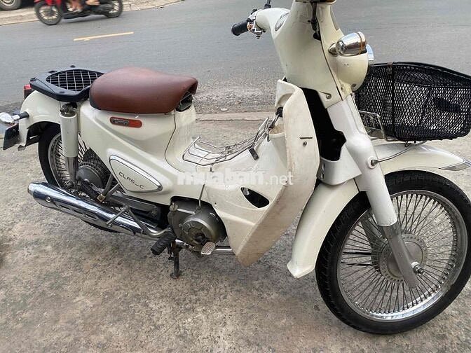 cúp 50 mẫu mới