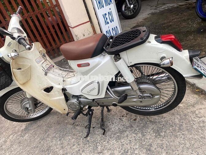 cúp 50 mẫu mới