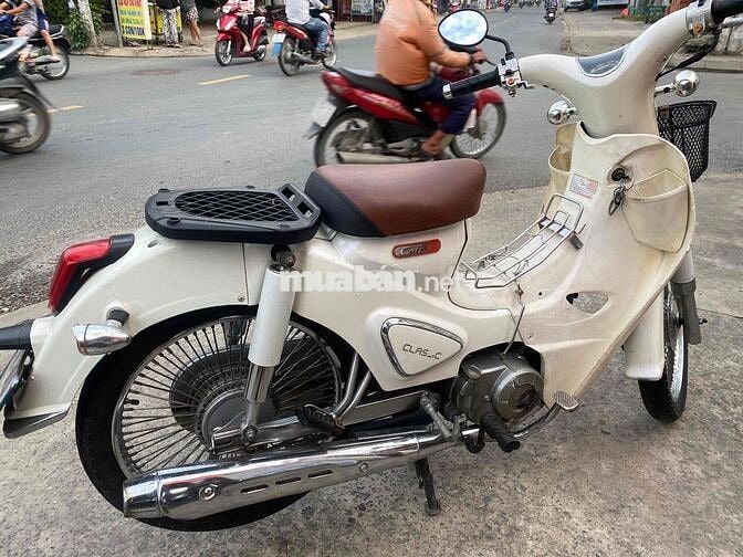 cúp 50 mẫu mới