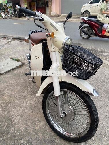 cúp 50 mẫu mới