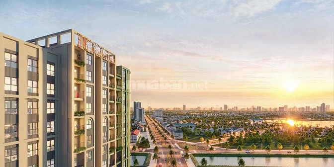 Ra hàng tòa cuối - cơ hội vàng!