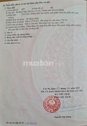 Đất thổ cư mặt tiền Củ Chi 2113m2 -Ngang 21m đường Bình Mỹ - Có xưởng.