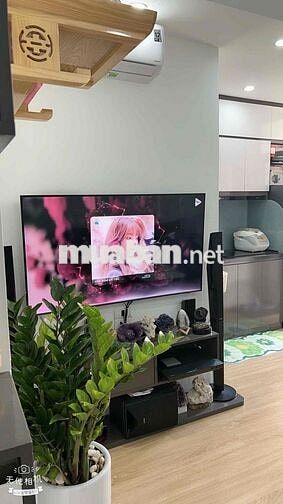 Bán CCMN Mới Đẹp View Mặt Ngõ Đông Nam - Thanh Xuân, Bùi Xương Trạch