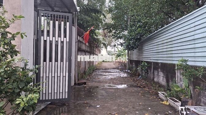 Bán đất thổ cư (6 m x 21 m) xã Bình Mỹ Hồ Chí Minh