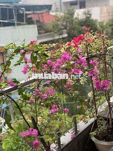 Chủ đi Mỹ bán nhà Khuê Trung Đà Nẵng