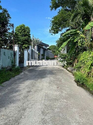 6 LÔ ĐẤT THỔ CƯ SẴN SỔ 150M2 TẠI PHAN ĐĂNG LƯU, TÂN AN GẦN ĐẠI NAM