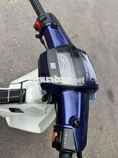 dream việt dọn mới màu xanh limite