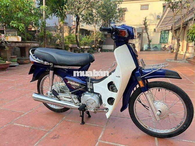 dream việt dọn mới màu xanh limite