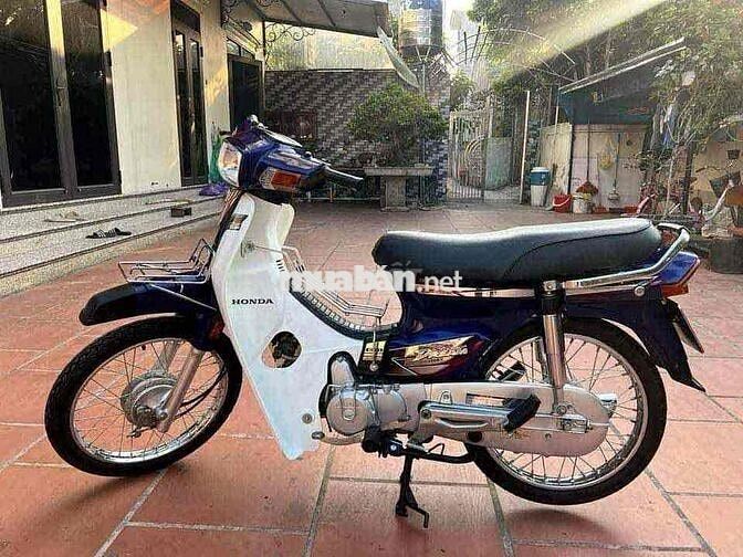 dream việt dọn mới màu xanh limite