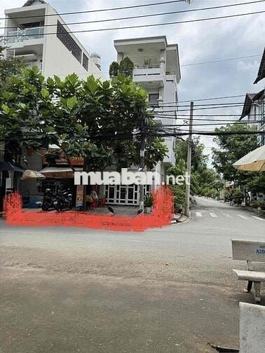 cho thuê nhà nguyên căn mặt tiền đường cao thị chính phú thuận quận 7