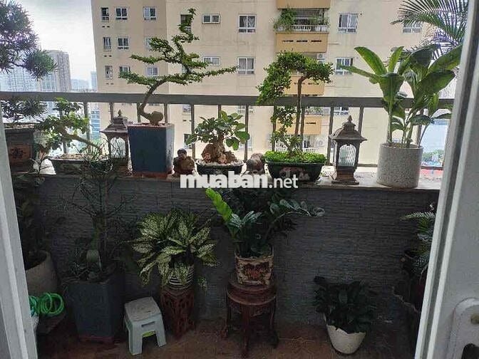 Bán Căn Chung Cư Vimeco Nguyễn Chánh 130m2 3pn 2wc.