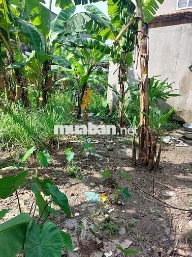 Lô đất 500m2 đường số 6 khu dân cư Vĩnh Lộc B Bình Chánh