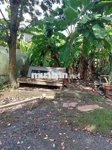 Lô đất 500m2 đường số 6 khu dân cư Vĩnh Lộc B Bình Chánh