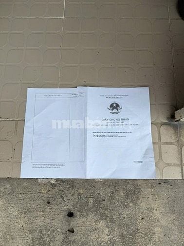 Bán đất mặt tiền Bùi Tư Toàn Quận Bình Tân, DT 4x21m, giá chỉ 6 tỷ