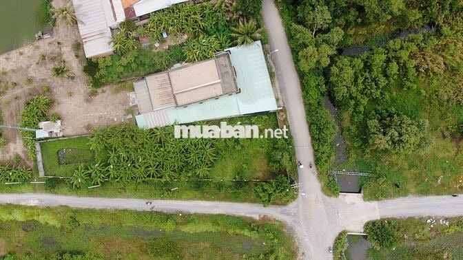 Chính chủ bán gấp đất 2 mặt tiền 894m2 đường 10m ngay TT Bình Chánh