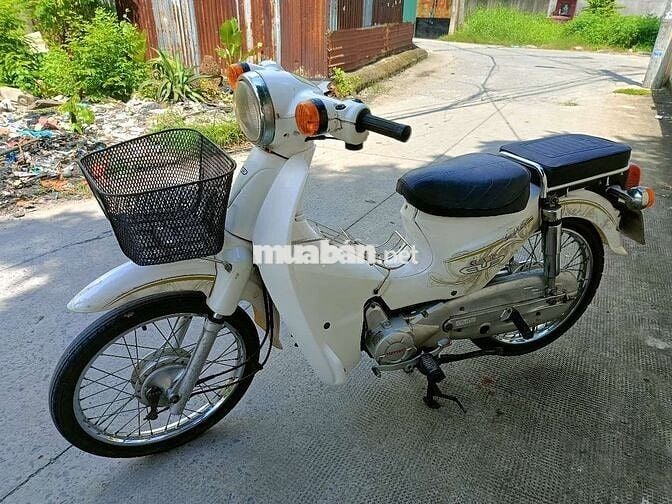 Cub 50cc