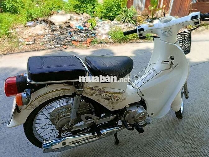 Cub 50cc