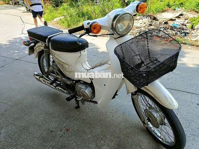 Cub 50cc
