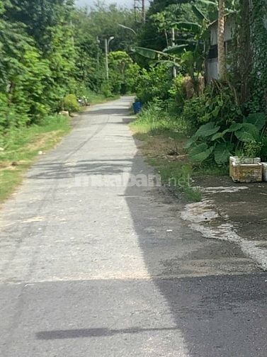 CẦN BÁN LÔ ĐẤT VỊ TRÍ ĐẸP – PHÚ HÒA ĐÔNG, CỦ CHI