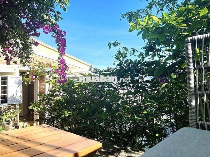 CHO THUÊ NHÀ SÂN VƯỜN GẦN NÚI Ở BẮC NHA TRANG GIÁ 20 TRIỆU/ THÁNG