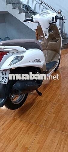 Nozza máy zin áo đẹp bs61 góp 0 đồng