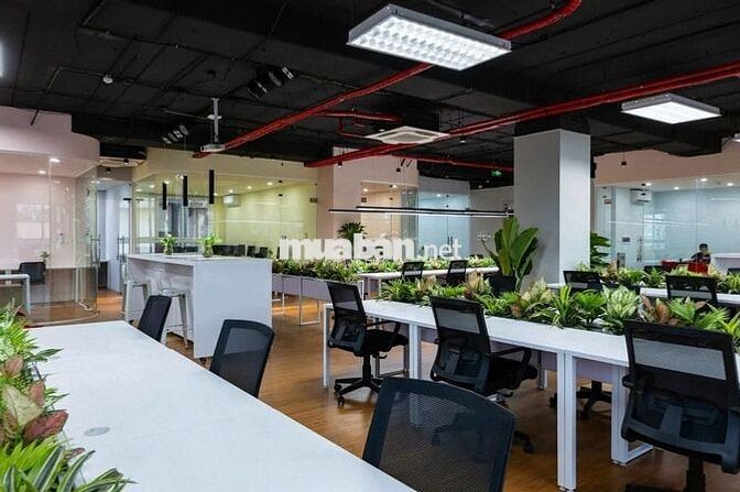 📢 CHO THUÊ SÀN VP TẠI TRƯỜNG CHINH - 500M2 - FULL NT VỊ TRÍ VÀNG