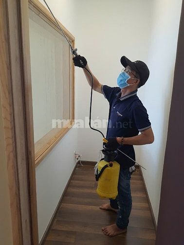 DỊCH VỤ KIỂM SOÁT CÔN TRÙNG GÂY HẠI