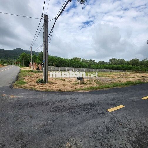 Bán nền biệt thự siêu đẹp xã Phước Hải, 577m2, mặt tiền giá 3,3 tỷ