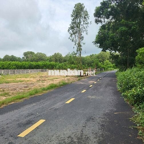 Bán nền biệt thự siêu đẹp xã Phước Hải, 577m2, mặt tiền giá 3,3 tỷ