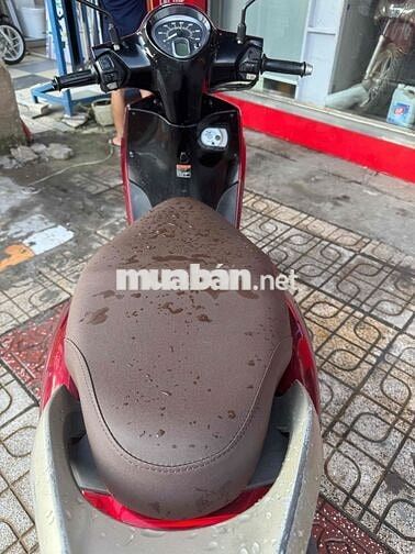 Jenus Giá Rẻ Thanh Lý