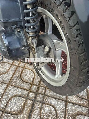 Jenus Giá Rẻ Thanh Lý